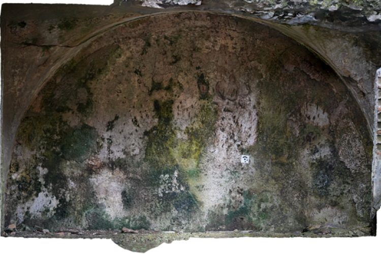 Parete occidentale dell’ambiente F. Sono evidenti le patine dal verde chiaro al verde scuro, chiaro segnale di colonizzazione da parte di cianobatteri e alghe verdi.